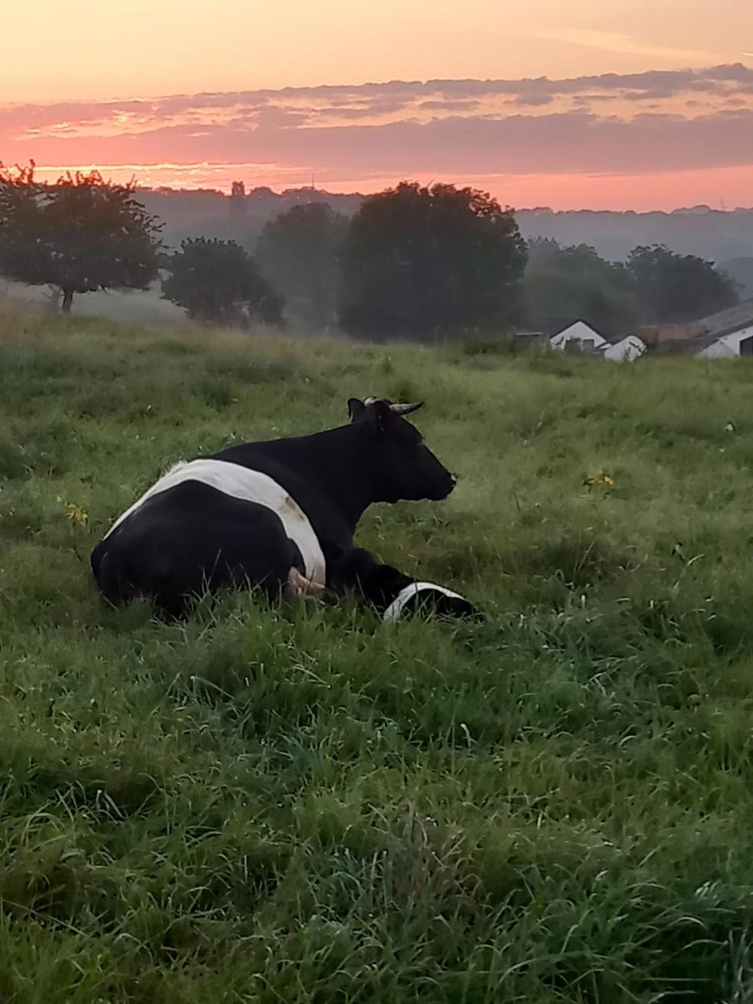 De Zonnehoed Hébergement de vacances